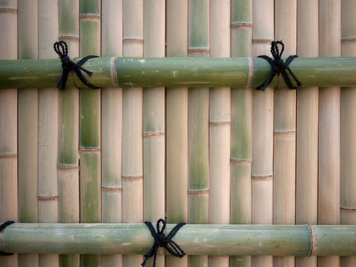 bambooscreen-kyoto1.jpg