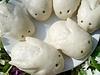 Bunny Bao (steamed buns)