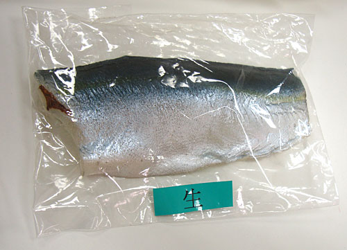 foodmodels-fishraw.jpg