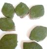 Black sesame cookies with matcha icing (2)