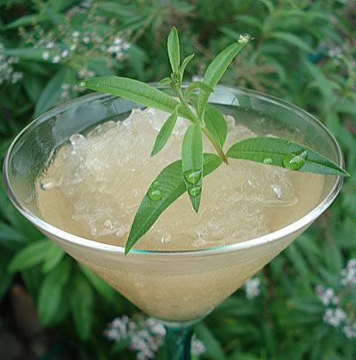 lemon-verbena-granita1.jpg