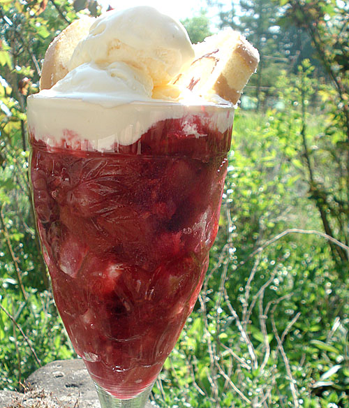 rhubarb_trifle1.jpg