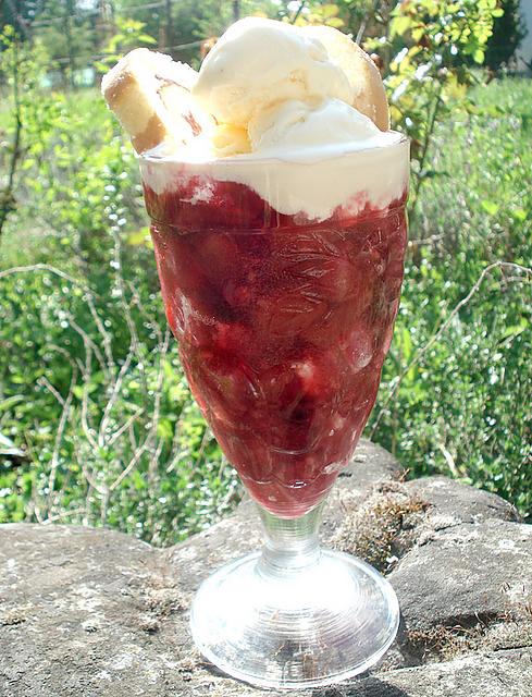 Rhubarb berry trifle