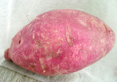 Japanese-type sweet potato satsumaimo1.jpg