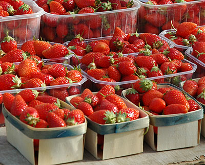 strawberries2.jpg