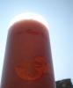 Rhubarb berry ginger smoothie
