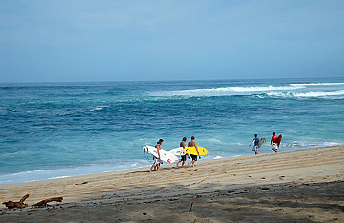 img: Surfers on Sunset Beach