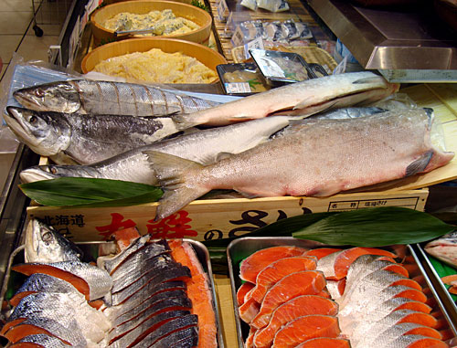 takashimaya12-fish1.jpg