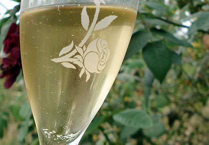 champagne-glass.jpg