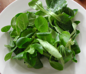 Nusslisalat