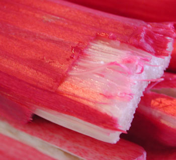 rhubarb_closeup.jpg