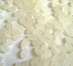 rices-uruchi-japonica.jpg