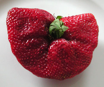 Scary_strawberry