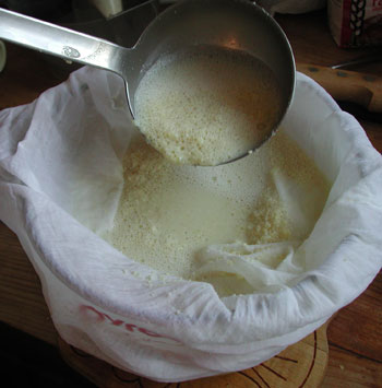 soymilk_step_4.jpg