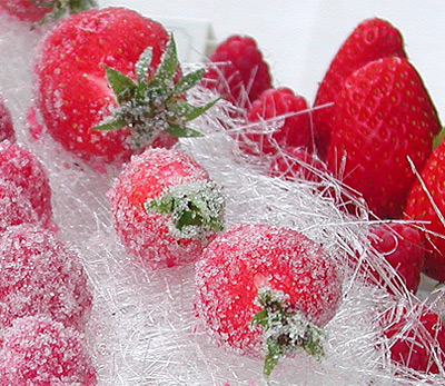 strawberries_meneau2.jpg