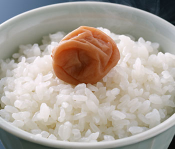 umeboshi_gohan.jpg