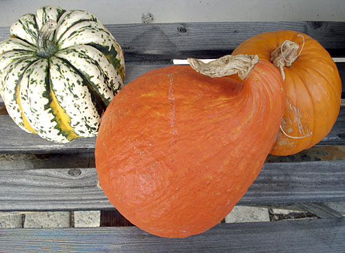 wintersquash1.jpg